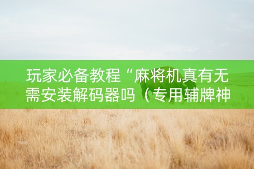 玩家必备教程“麻将机真有无需安装解码器吗（专用辅牌神器免安装）
