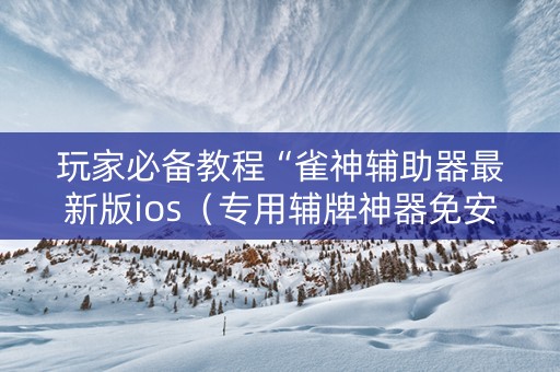 玩家必备教程“雀神辅助器最新版ios（专用辅牌神器免安装）