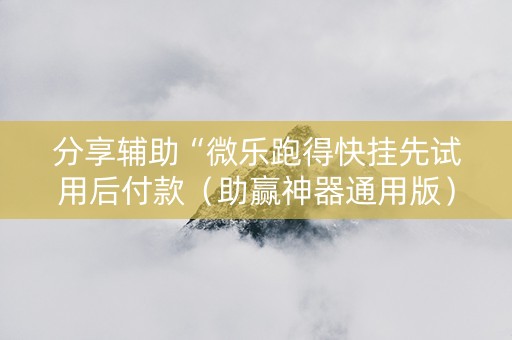 分享辅助“微乐跑得快挂先试用后付款（助赢神器通用版）