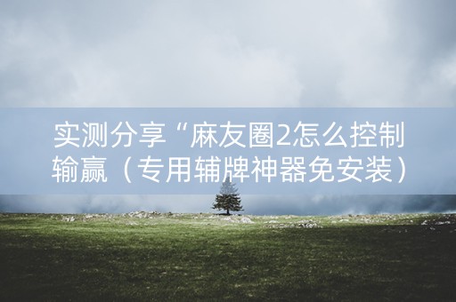 实测分享“麻友圈2怎么控制输赢（专用辅牌神器免安装）
