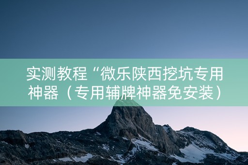 实测教程“微乐陕西挖坑专用神器（专用辅牌神器免安装）
