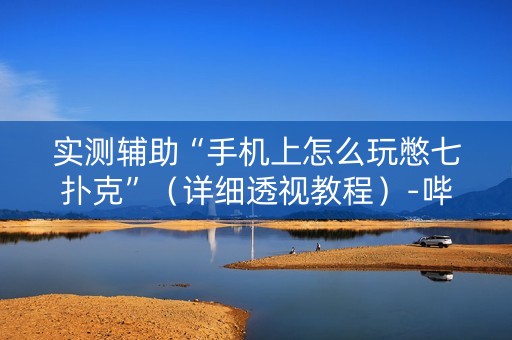 实测辅助“手机上怎么玩憋七扑克”（详细透视教程）-哔哩哔哩