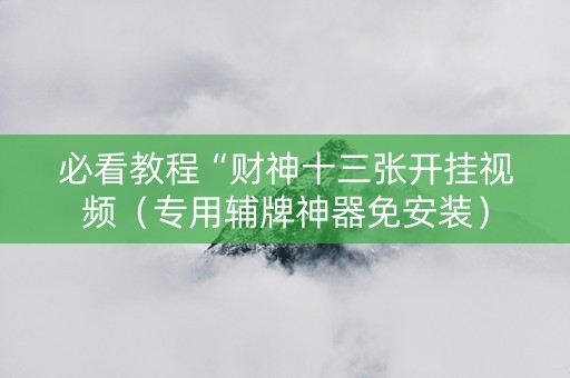 必看教程“财神十三张开挂视频（专用辅牌神器免安装）