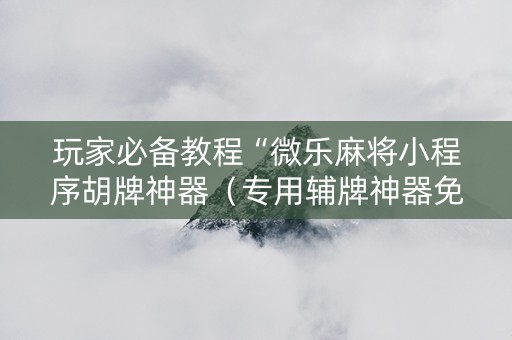 玩家必备教程“微乐麻将小程序胡牌神器（专用辅牌神器免安装）