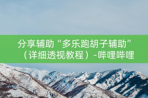 分享辅助“多乐跑胡子辅助”（详细透视教程）-哔哩哔哩