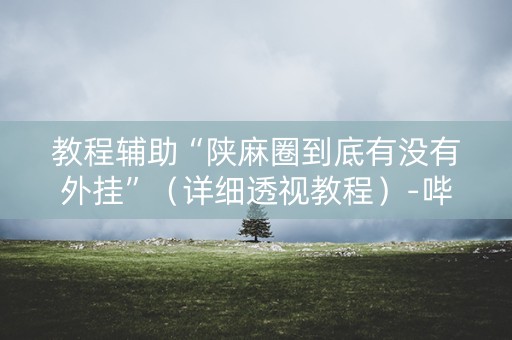 教程辅助“陕麻圈到底有没有外挂”（详细透视教程）-哔哩哔哩