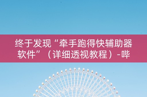 终于发现“牵手跑得快辅助器软件”（详细透视教程）-哔哩哔哩