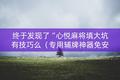 终于发现了“心悦麻将填大坑有技巧么（专用辅牌神器免安装）