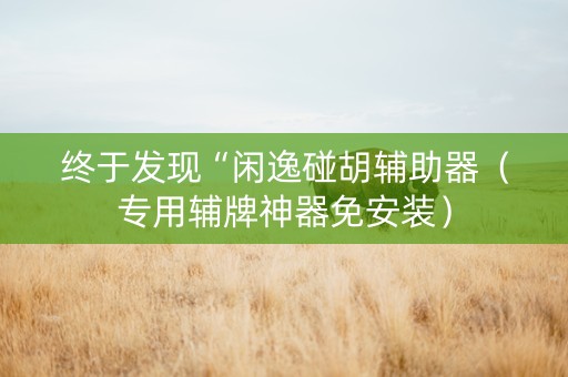 终于发现“闲逸碰胡辅助器（专用辅牌神器免安装）