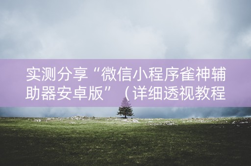 实测分享“微信小程序雀神辅助器安卓版”（详细透视教程）-哔哩哔哩