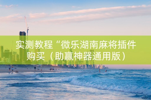 实测教程“微乐湖南麻将插件购买（助赢神器通用版）