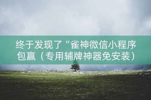 终于发现了“雀神微信小程序包赢（专用辅牌神器免安装）