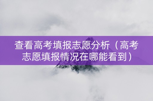 查看高考填报志愿分析（高考志愿填报情况在哪能看到）
