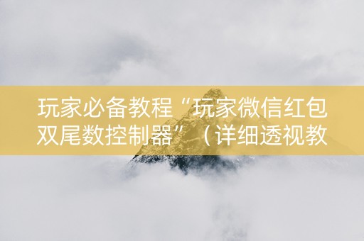 玩家必备教程“玩家微信红包双尾数控制器”（详细透视教程）-哔哩哔哩