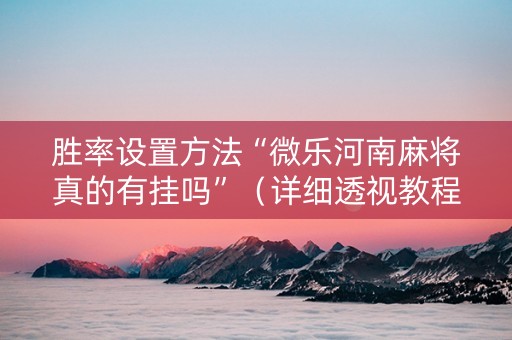 胜率设置方法“微乐河南麻将真的有挂吗”（详细透视教程）-哔哩哔哩