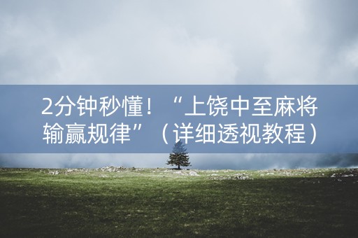 2分钟秒懂！“上饶中至麻将输赢规律”（详细透视教程）-哔哩哔哩