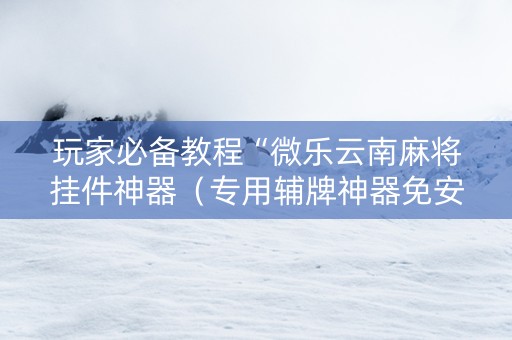 玩家必备教程“微乐云南麻将挂件神器（专用辅牌神器免安装）