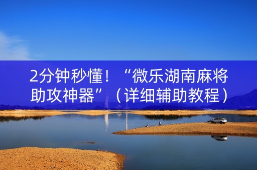 2分钟秒懂！“微乐湖南麻将助攻神器”（详细辅助教程）-哔哩哔哩