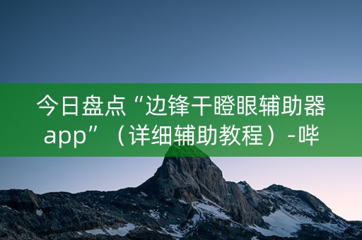今日盘点“边锋干瞪眼辅助器app”（详细辅助教程）-哔哩哔哩