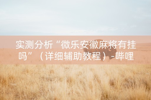 实测分析“微乐安徽麻将有挂吗”（详细辅助教程）-哔哩哔哩