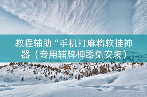 教程辅助“手机打麻将软挂神器（专用辅牌神器免安装）