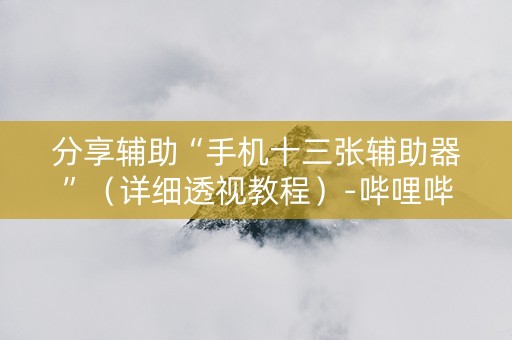 分享辅助“手机十三张辅助器”（详细透视教程）-哔哩哔哩