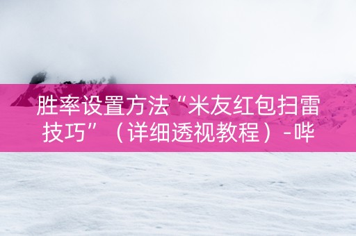 胜率设置方法“米友红包扫雷技巧”（详细透视教程）-哔哩哔哩
