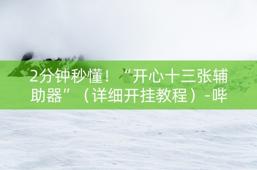 2分钟秒懂！“开心十三张辅助器”（详细开挂教程）-哔哩哔哩
