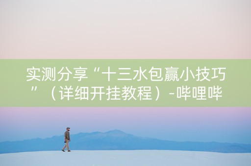 实测分享“十三水包赢小技巧”（详细开挂教程）-哔哩哔哩