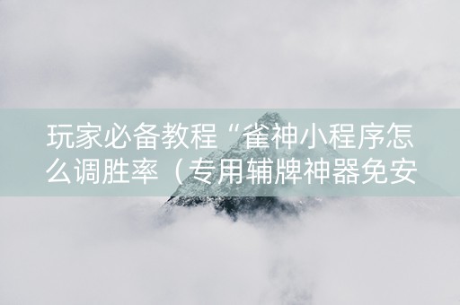 玩家必备教程“雀神小程序怎么调胜率（专用辅牌神器免安装）