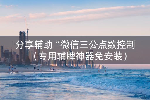 分享辅助“微信三公点数控制（专用辅牌神器免安装）
