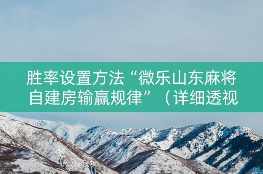 胜率设置方法“微乐山东麻将自建房输赢规律”（详细透视教程）-哔哩哔哩