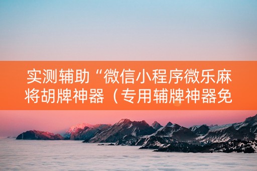 实测辅助“微信小程序微乐麻将胡牌神器（专用辅牌神器免安装）