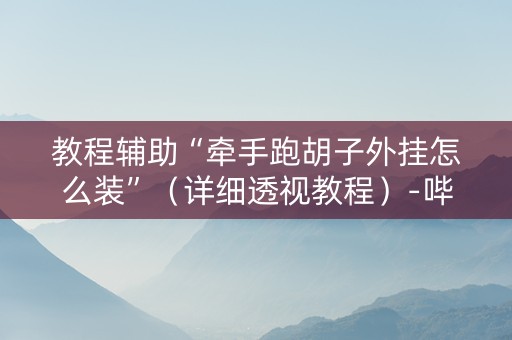 教程辅助“牵手跑胡子外挂怎么装”（详细透视教程）-哔哩哔哩