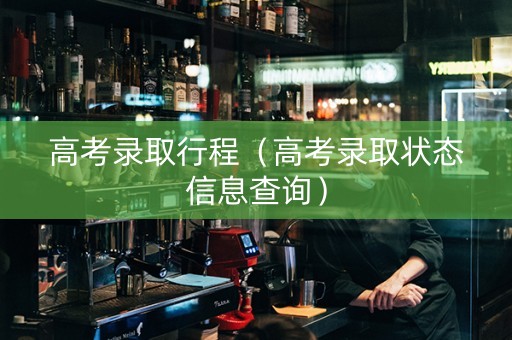 高考录取行程（高考录取状态信息查询）