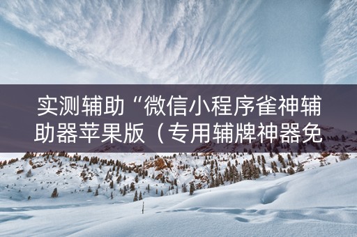 实测辅助“微信小程序雀神辅助器苹果版（专用辅牌神器免安装）