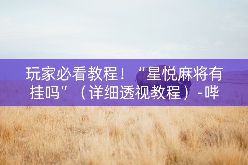 玩家必看教程！“星悦麻将有挂吗”（详细透视教程）-哔哩哔哩