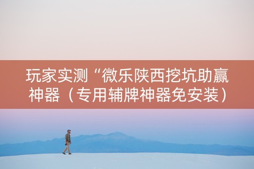 玩家实测“微乐陕西挖坑助赢神器（专用辅牌神器免安装）