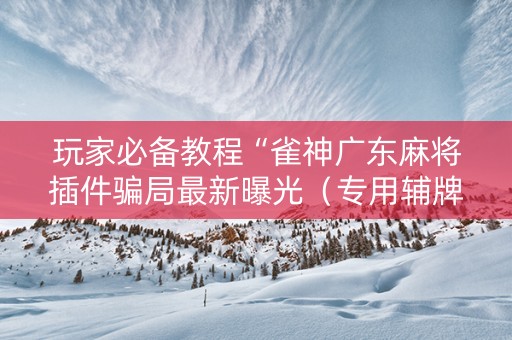 玩家必备教程“雀神广东麻将插件骗局最新曝光（专用辅牌神器免安装）