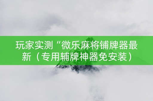 玩家实测“微乐麻将铺牌器最新（专用辅牌神器免安装）