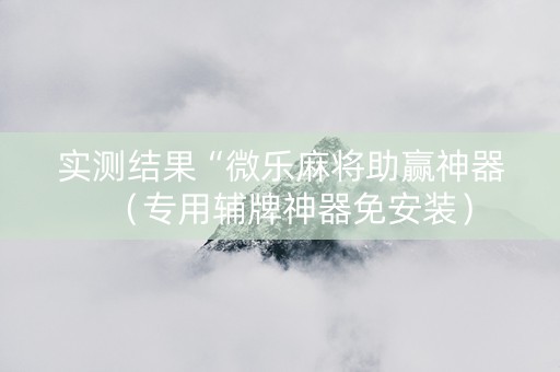 实测结果“微乐麻将助赢神器（专用辅牌神器免安装）