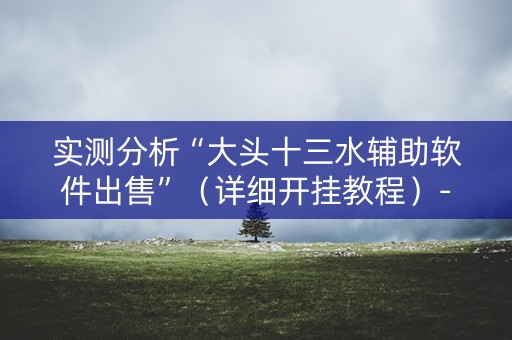 实测分析“大头十三水辅助软件出售”（详细开挂教程）-哔哩哔哩