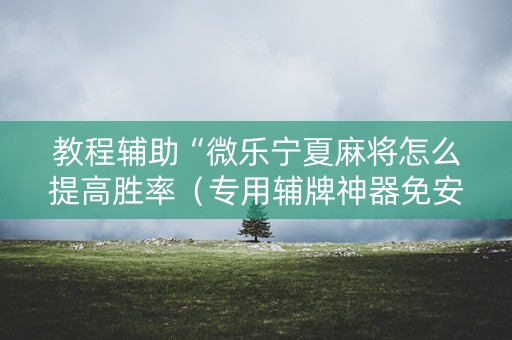 教程辅助“微乐宁夏麻将怎么提高胜率（专用辅牌神器免安装）