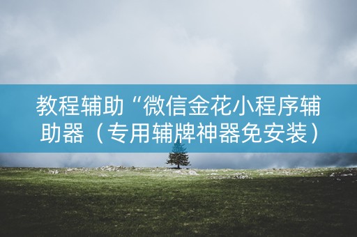 教程辅助“微信金花小程序辅助器（专用辅牌神器免安装）