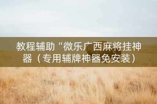 教程辅助“微乐广西麻将挂神器（专用辅牌神器免安装）