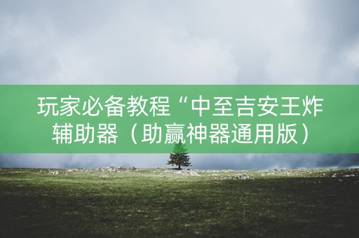 玩家必备教程“中至吉安王炸辅助器（助赢神器通用版）