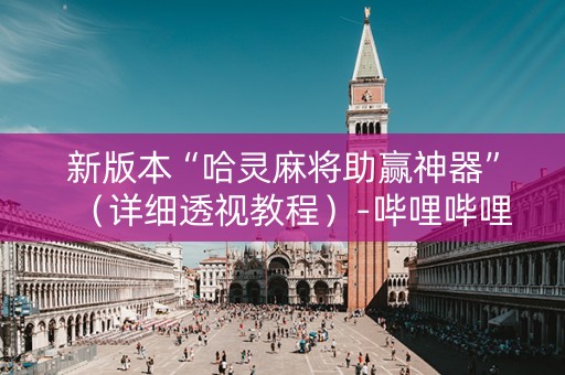 新版本“哈灵麻将助赢神器”（详细透视教程）-哔哩哔哩