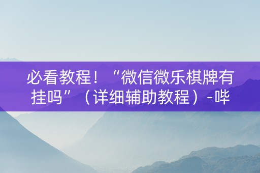 必看教程！“微信微乐棋牌有挂吗”（详细辅助教程）-哔哩哔哩