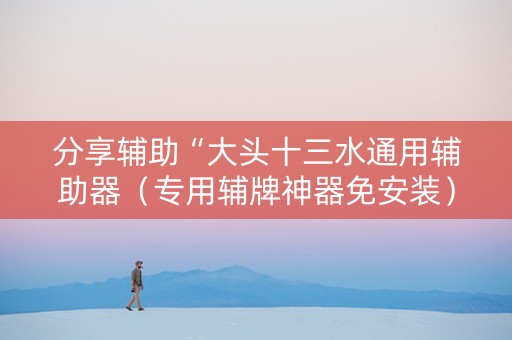 分享辅助“大头十三水通用辅助器（专用辅牌神器免安装）