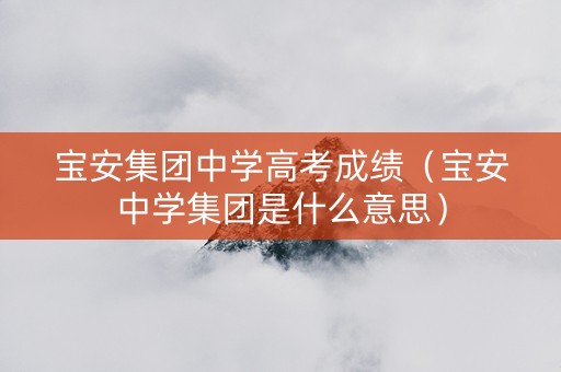 宝安集团中学高考成绩（宝安中学集团是什么意思）